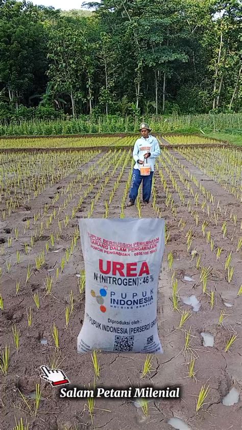 Galeri foto hoki kiu Dapatkan Smartfren 43 pilihan sangat favorit meskipun nominal kecil murah di akses cepat dari menu utama